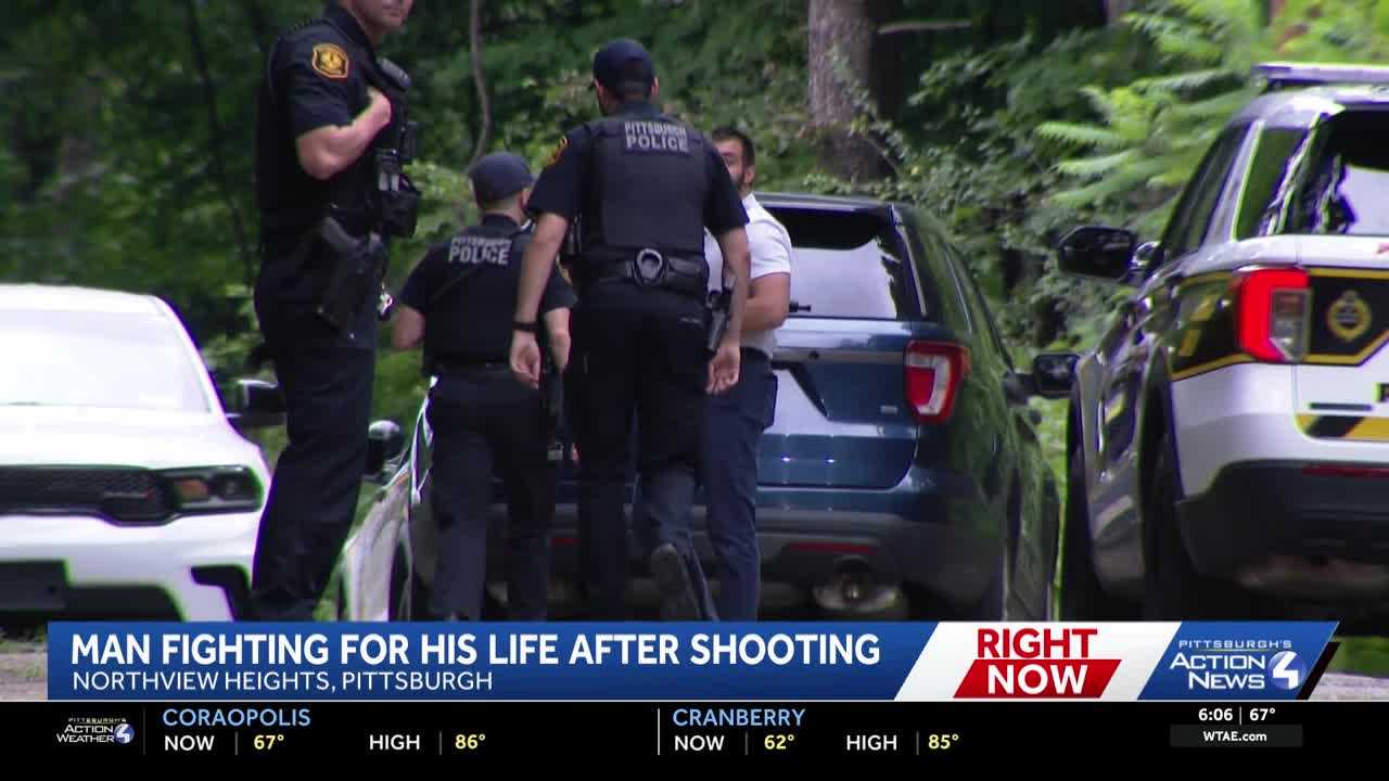 Man dies after shooting in Pittsburgh's Northview Heights; 1 charged