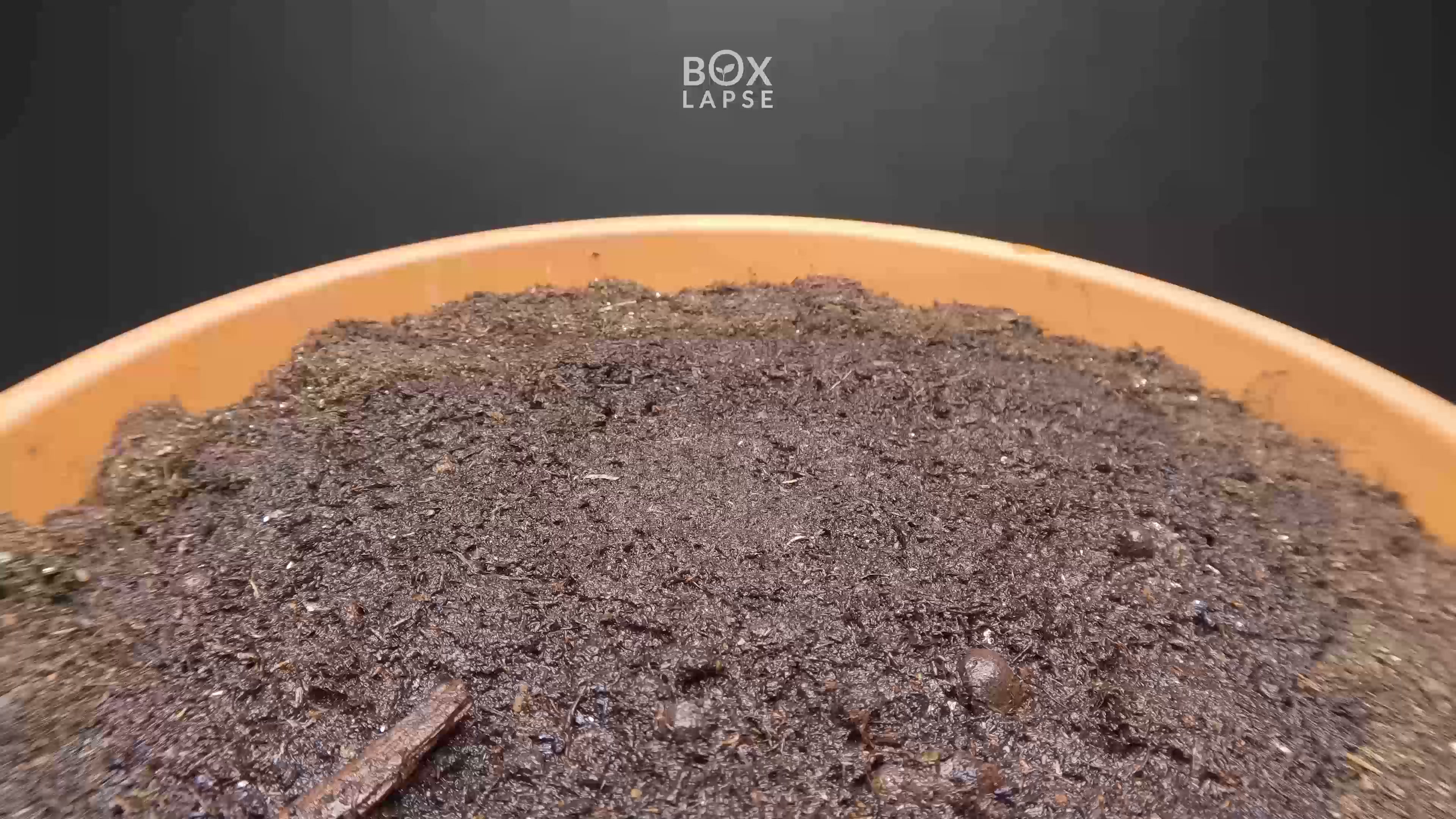 Magical growth