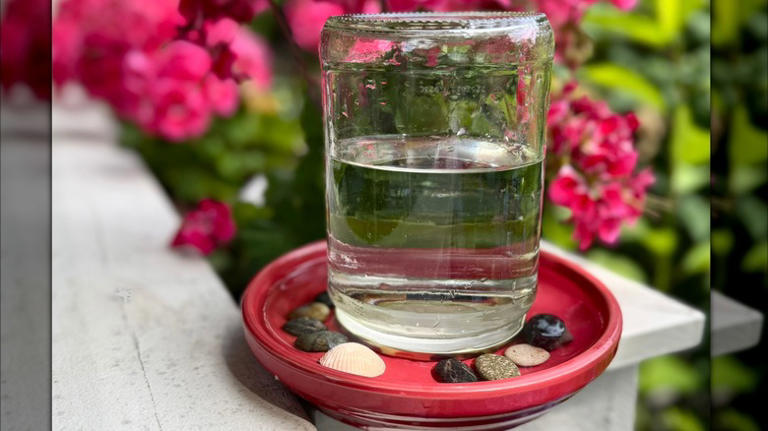 Say goodbye to traditional birdbaths: Use an old pickle jar for an easy ...