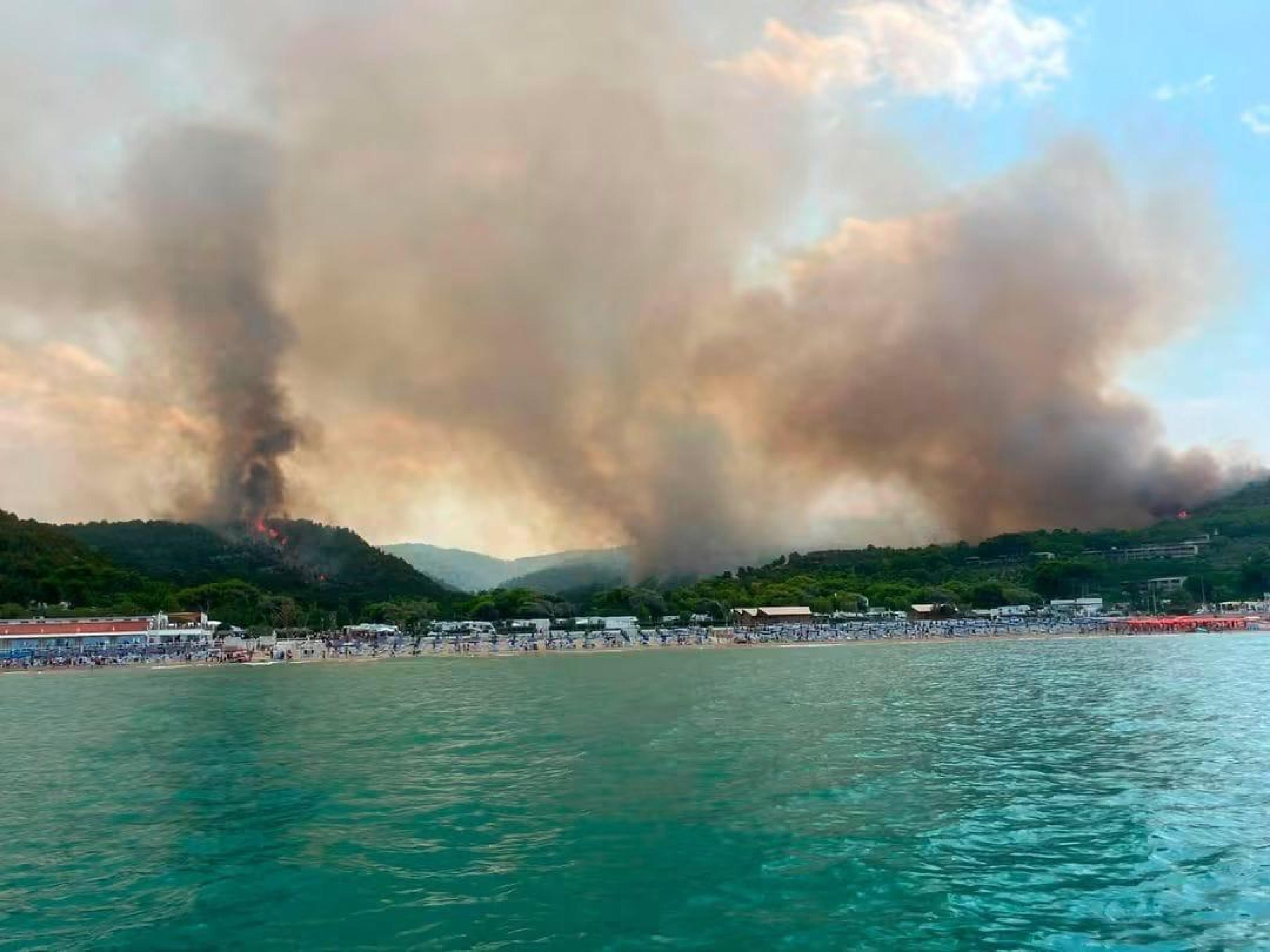 Huge wildfire in Puglia's Gargano area under control, says mayor