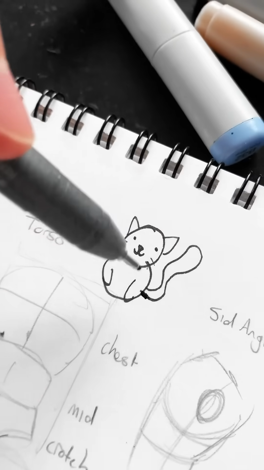Are you drawing cat anatomy completely wrong?
