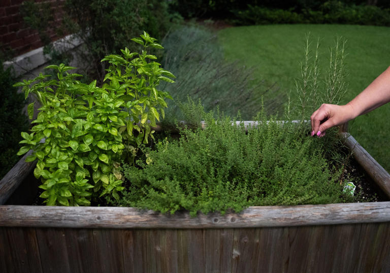 From the ground up: The fall planting advantage