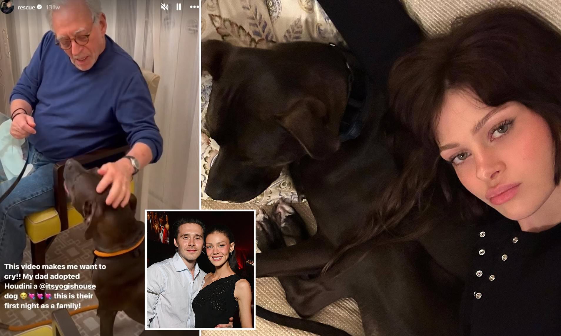 Nicola Peltz's billionaire dad sued again over 'dangerous' pit bull after 'second attack'