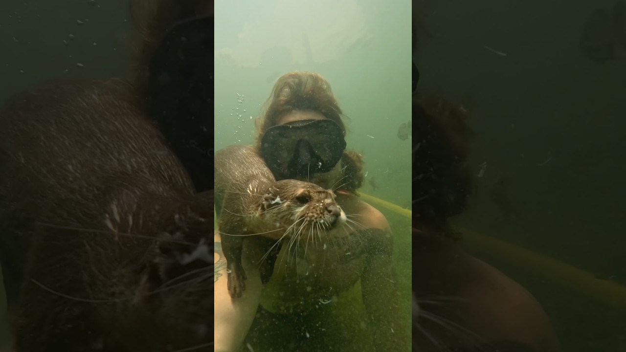 Floating with my otter!