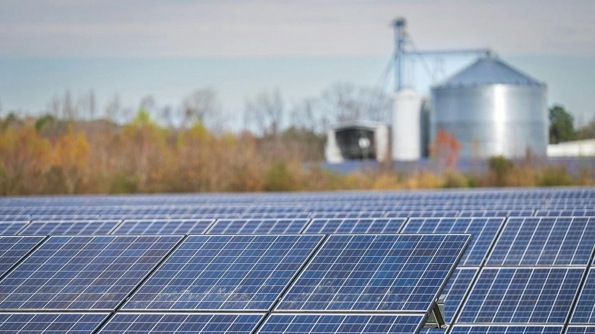 new-law-makes-developers-pay-to-decommission-solar-panels-on-rented-land