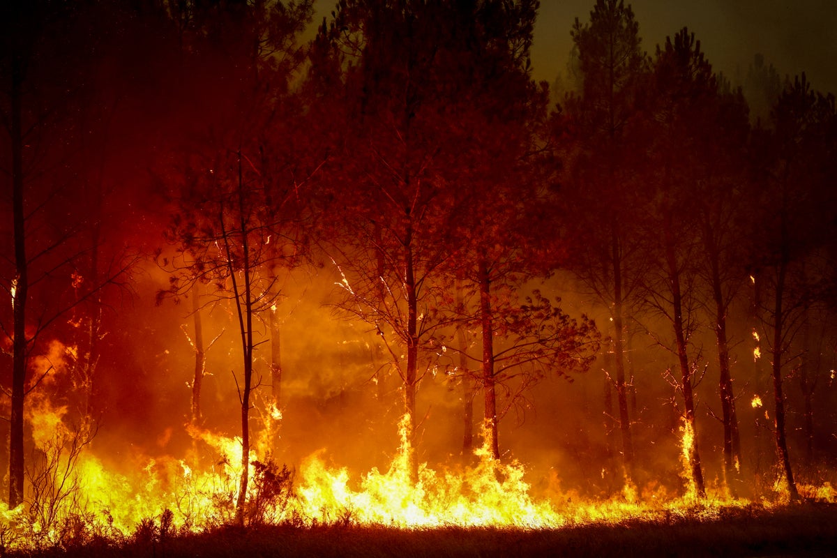 France and Spain enter 'crucial' hours before new 40C heatwave: Live