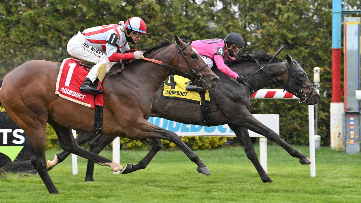 Stakes winner Blackmail leads field of nine in Water Tower Stakes