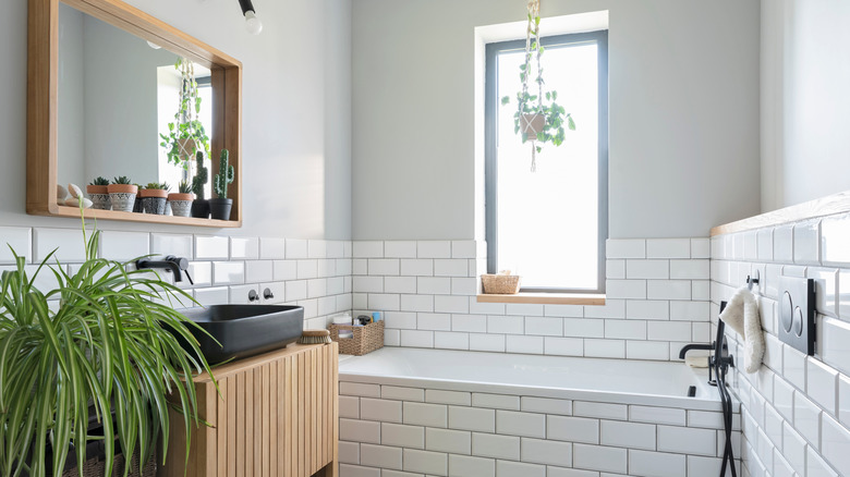 Not just blinds: The creative way to add privacy to a bathroom