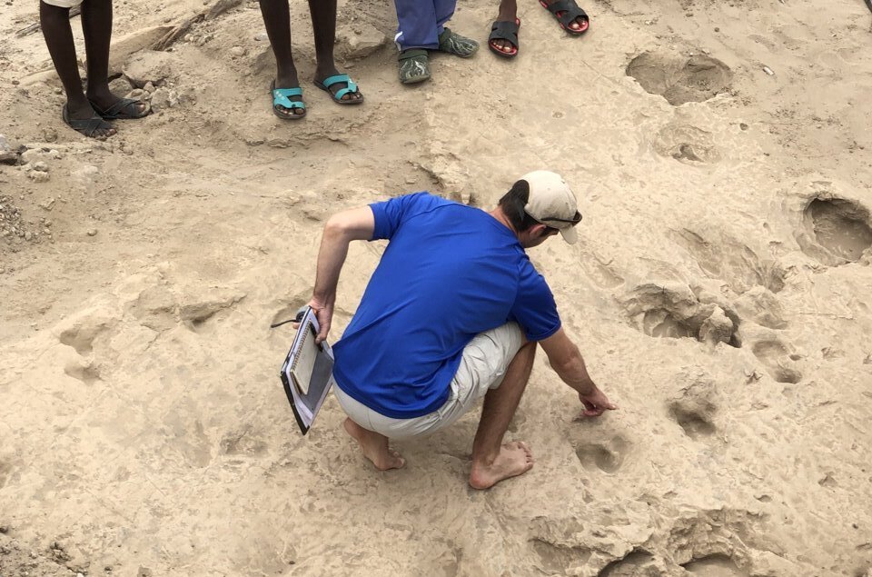 Fossil footprints reveal body size and group dynamics of 1.4-million ...