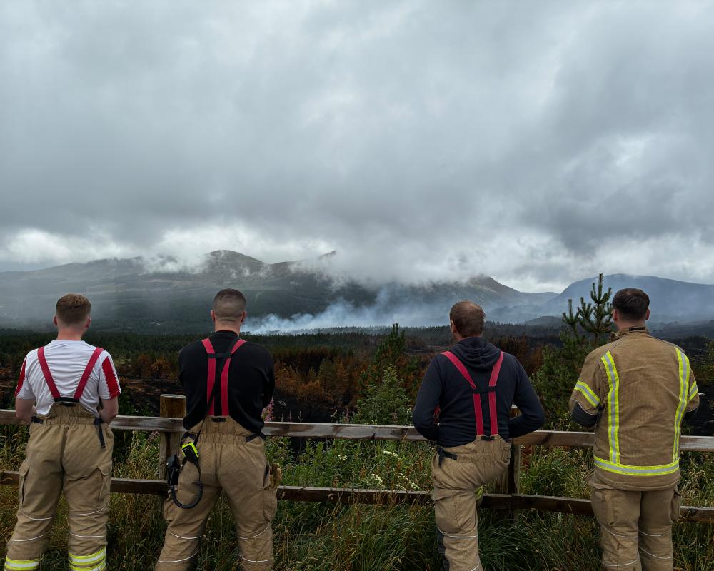 Swathes of Cairngorms unrecognisable after 12 days of 'cataclysmic' wildfires