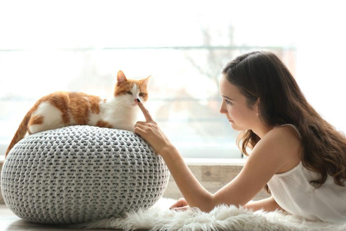 猫の命を奪っている『年代別の3大死因』とは？ 年齢によって異なるリスクや予防法も解説