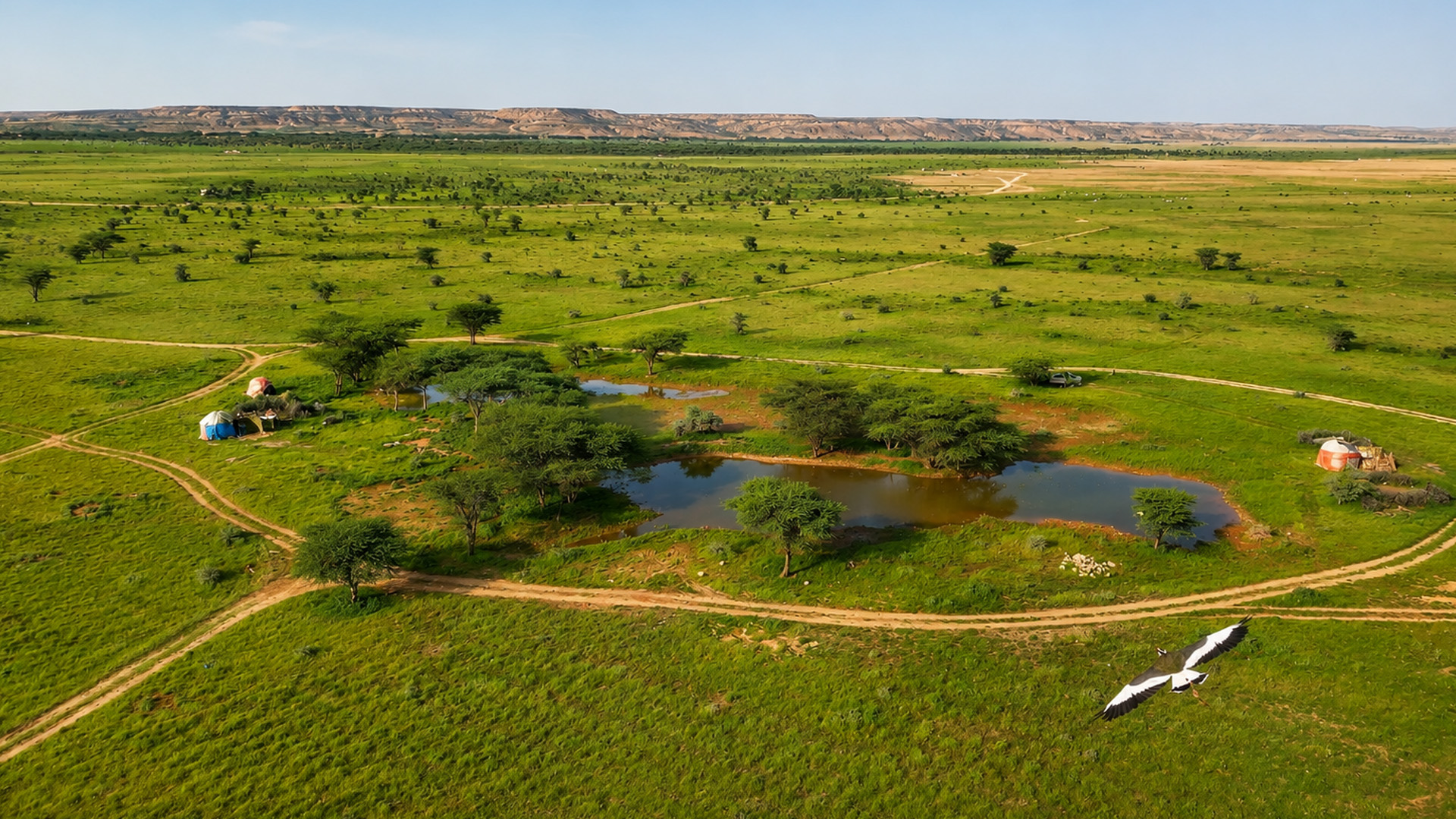 Temporary ponds support an entire community