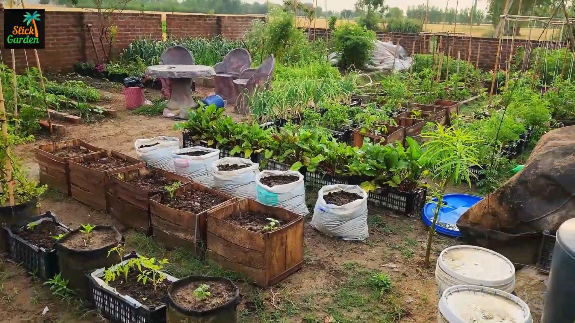 How to use baking soda in the garden: Soil pH & natural pest control