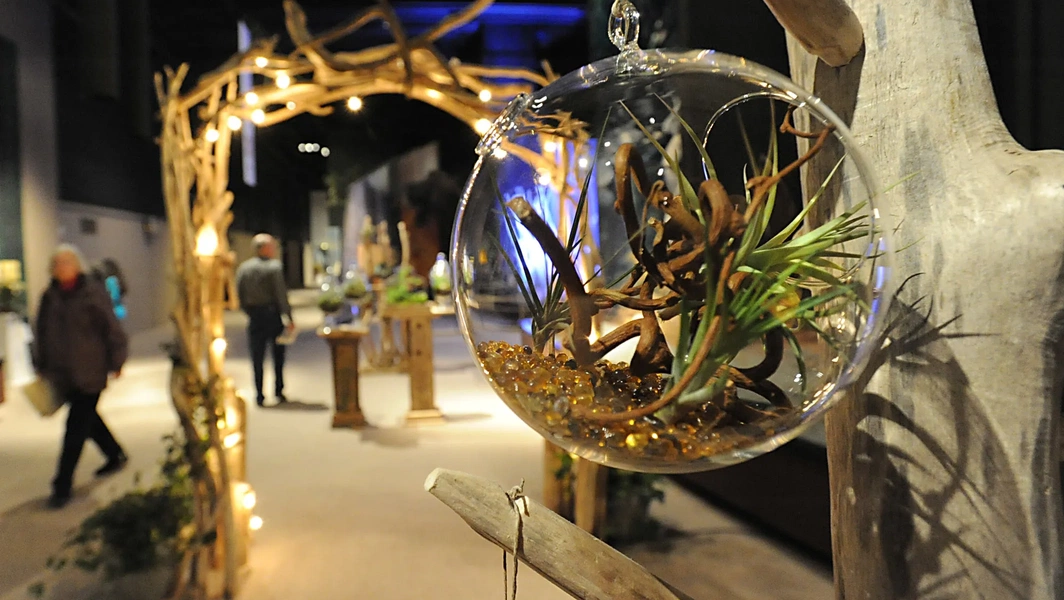 Creating a colorful and decorative tiny terrarium