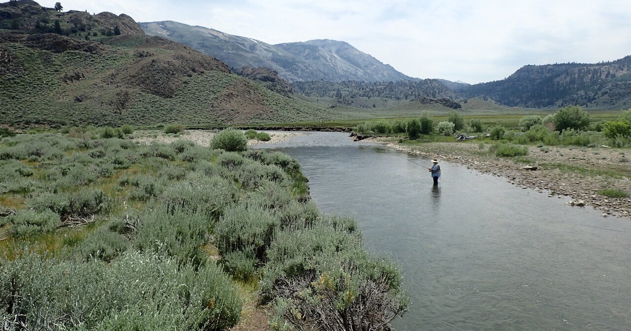 Sierra Nevada meadow restoration boosts CA drinking water supply