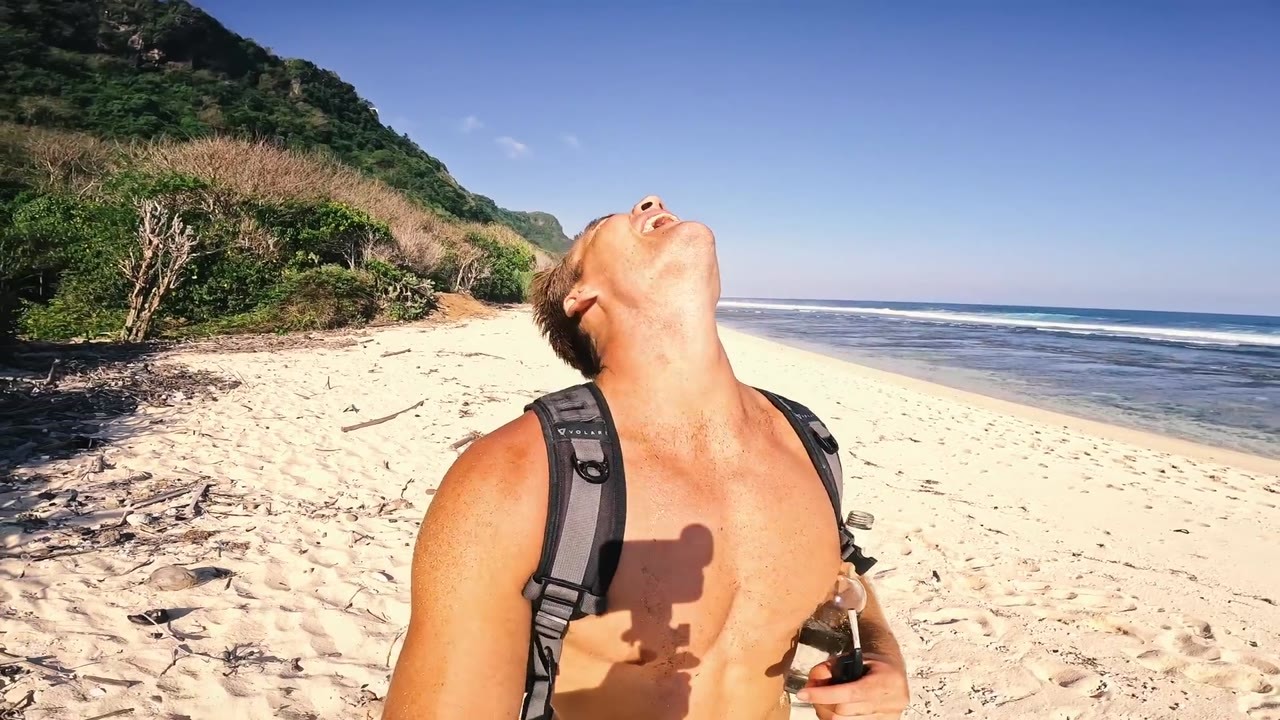 I was left alone on a tropical island... then the aggressive monkeys came