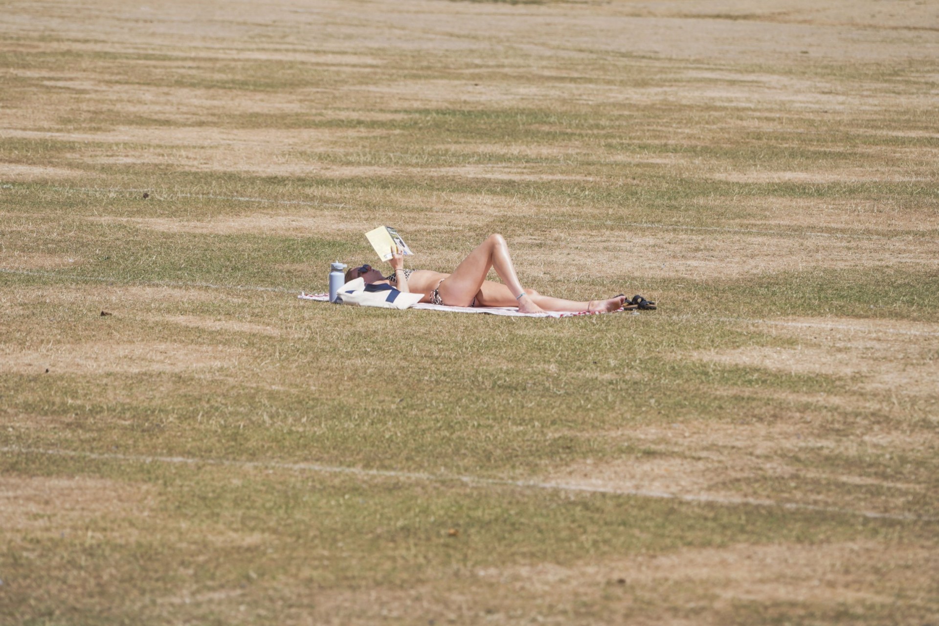 With a fourth heatwave on its way – will the UK soon see wildfires like ...