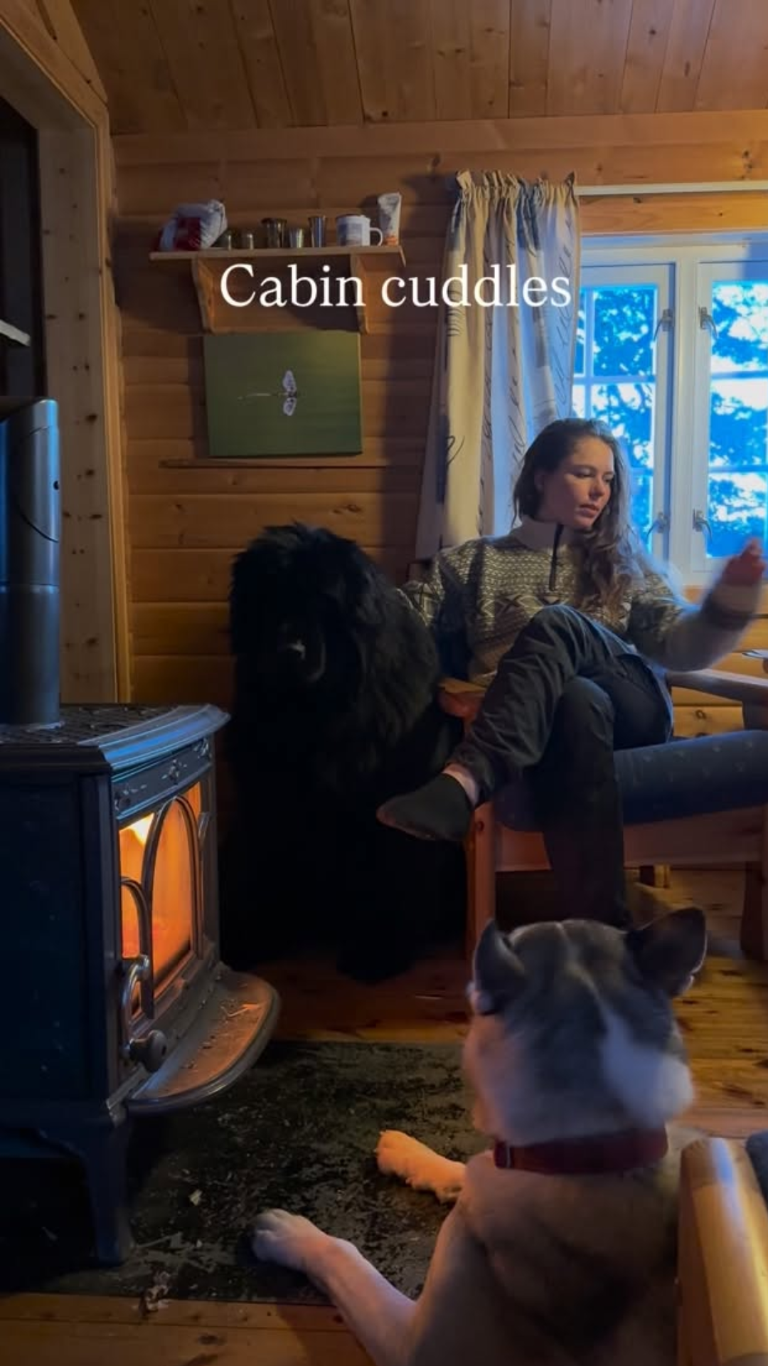 A cozy moment with dogs and head scratches at a cabin