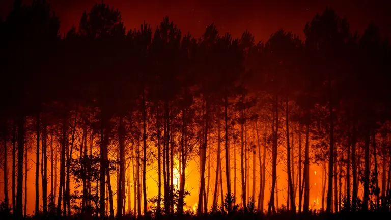Las 'tormentas de fuego' azotan Francia y agravan el megaincendio de Gironda, que calcina ya 42.000 hectáreas