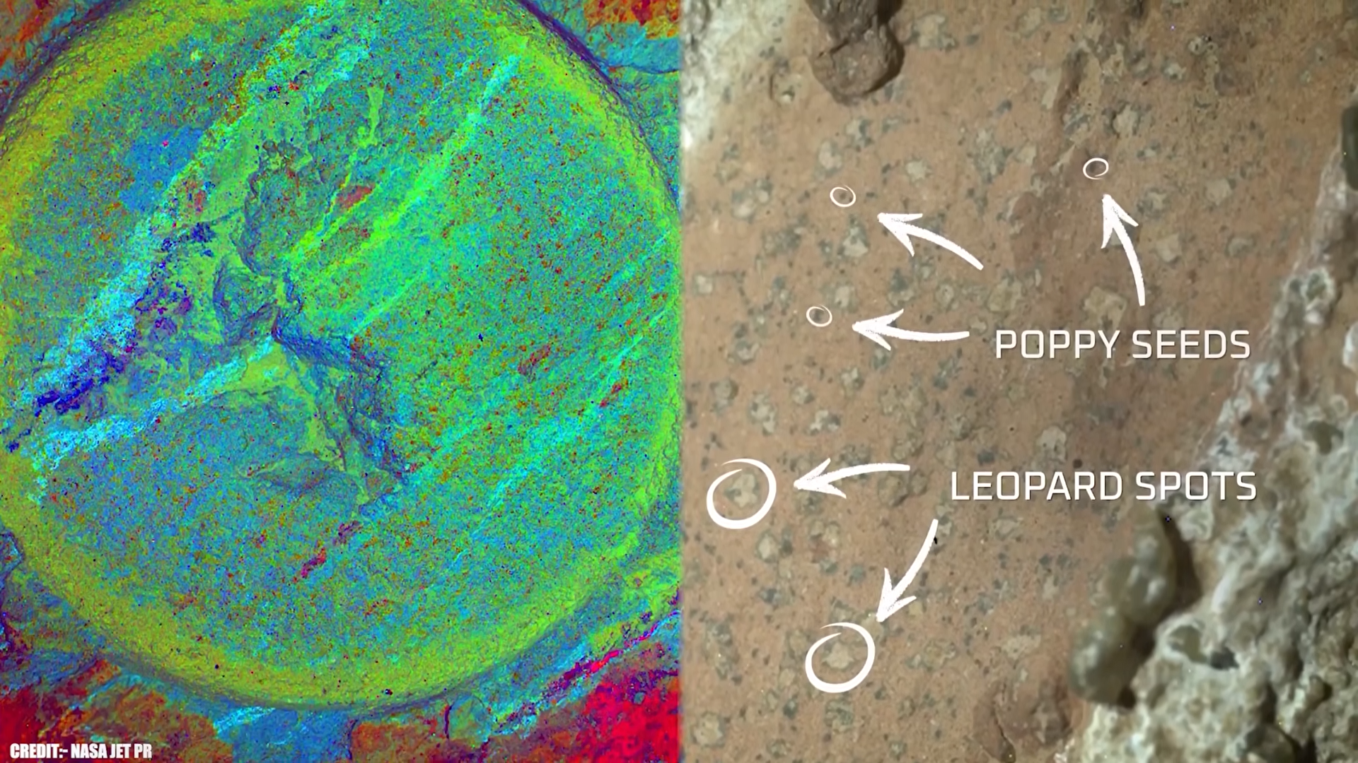 Massive update: Evidence shows we are closer to discovering life on Mars
