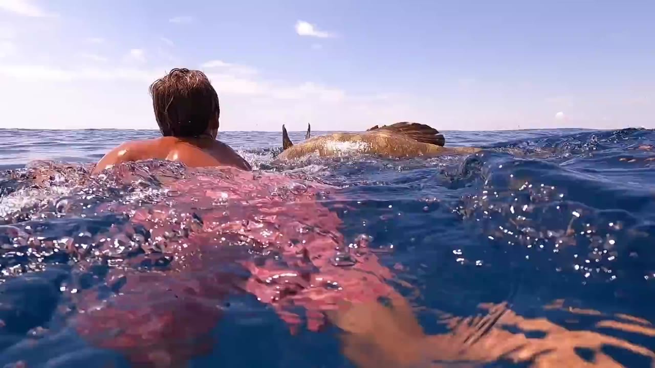 The kids jumped in beside the biggest Goliath they had ever caught ...