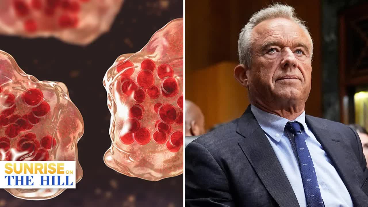 Measles cases in US reach 35-year high as vaccine skepticism runs ...