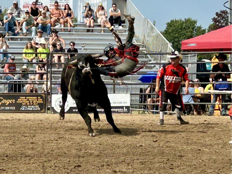 Rodeo ropes in thousands to see riders take on the big bulls