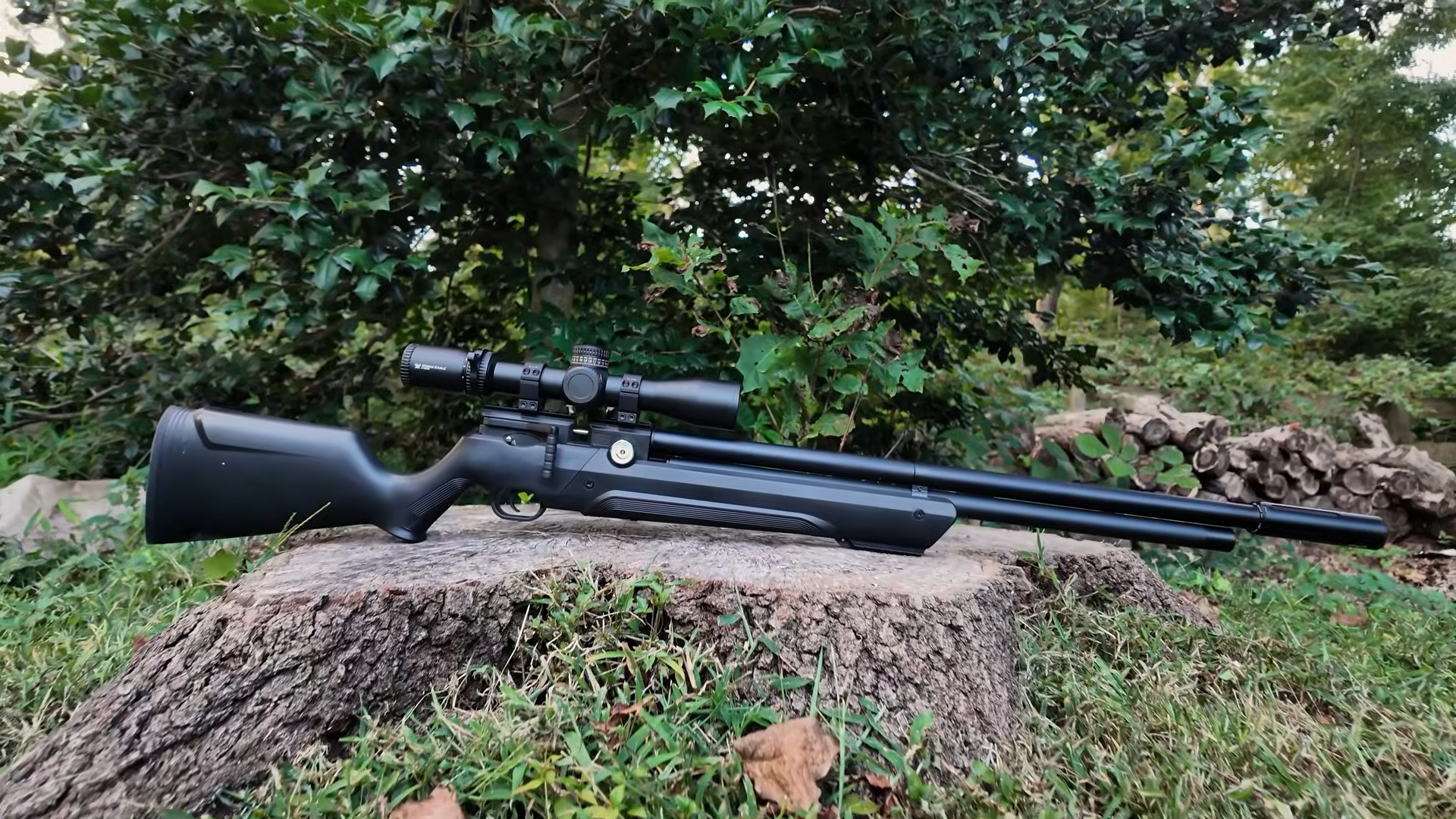 The air rifle that combines hunting rifle feel with PCP accuracy