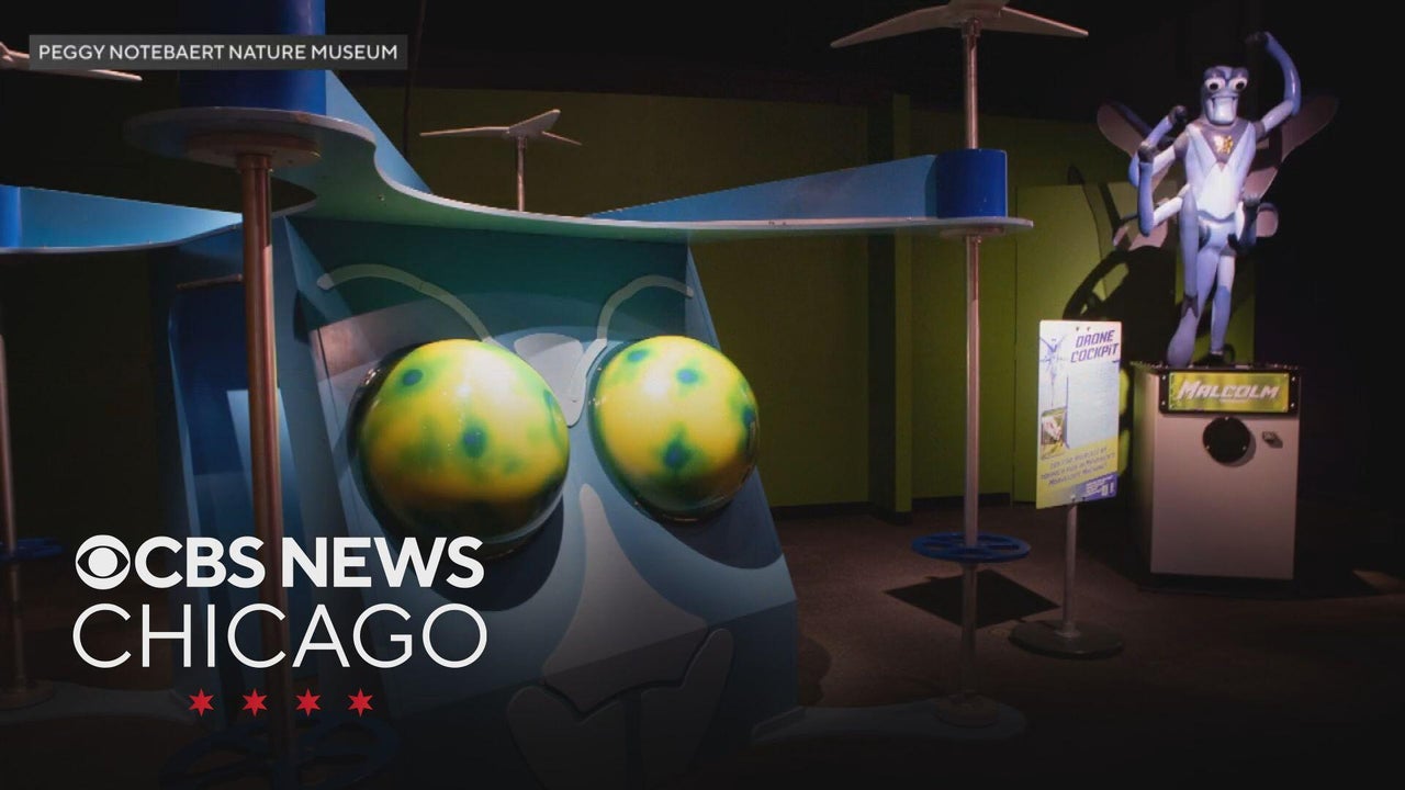 Bug Squad now open at Peggy Notebaert Nature Museum