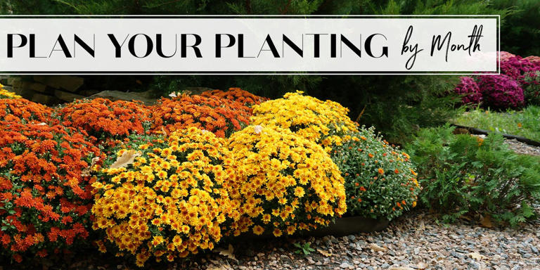 Here's your complete guide to gardening for the design-obsessed