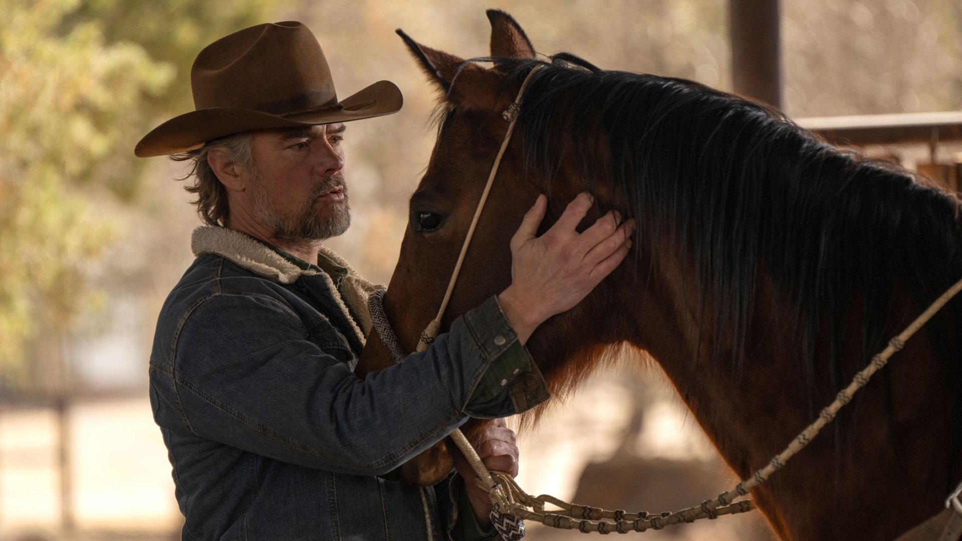 How the new western TV shows differ: 'Rose Hill,' 'Yellowstone' and more