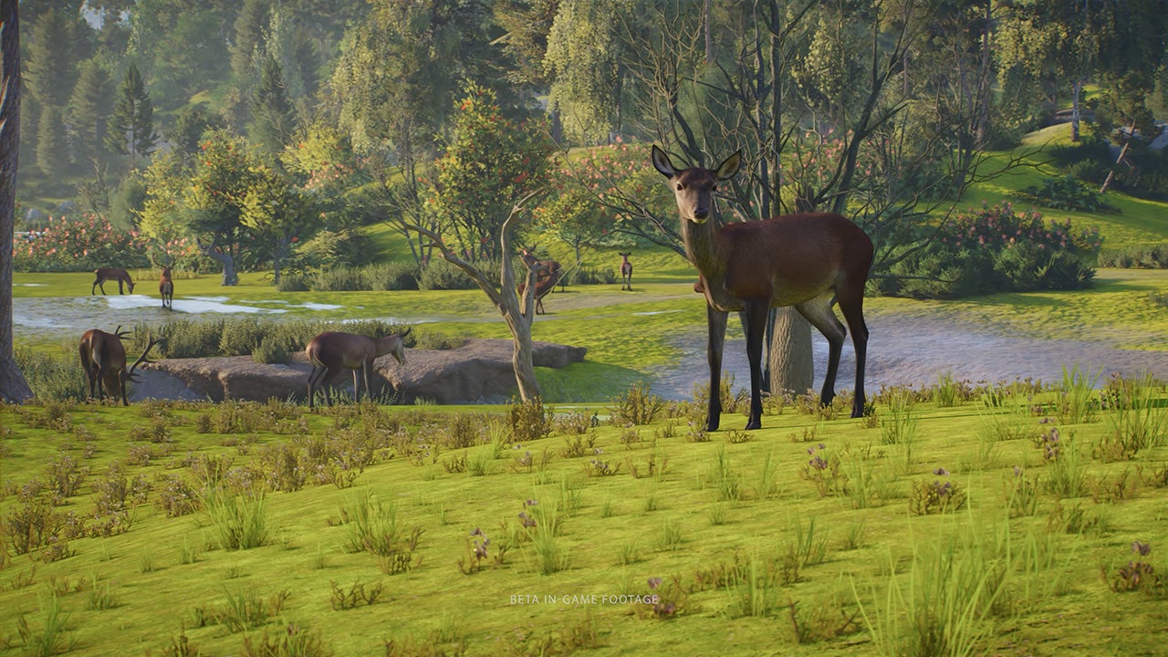 Planet Zoo 2 - Official Wildlife Reserves teaser trailer