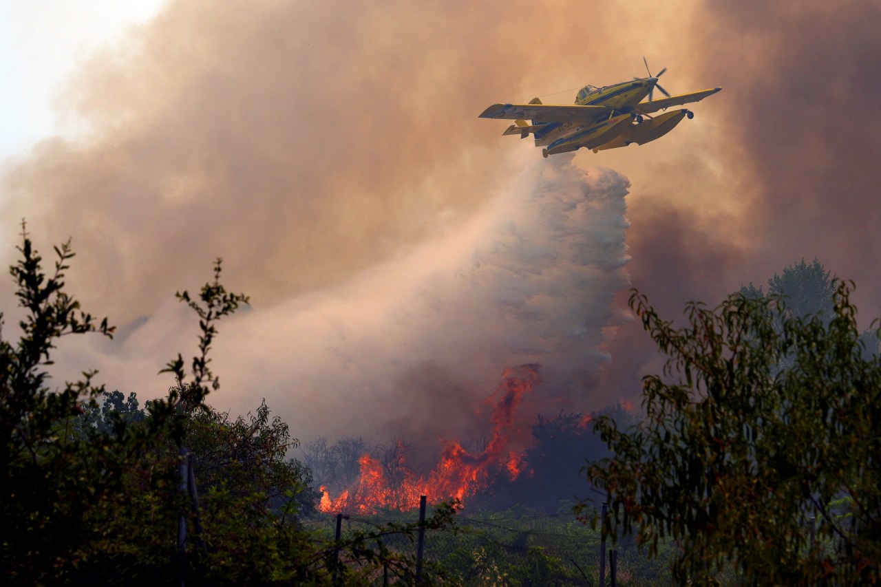 Why Europe's wildfires are so intense this year