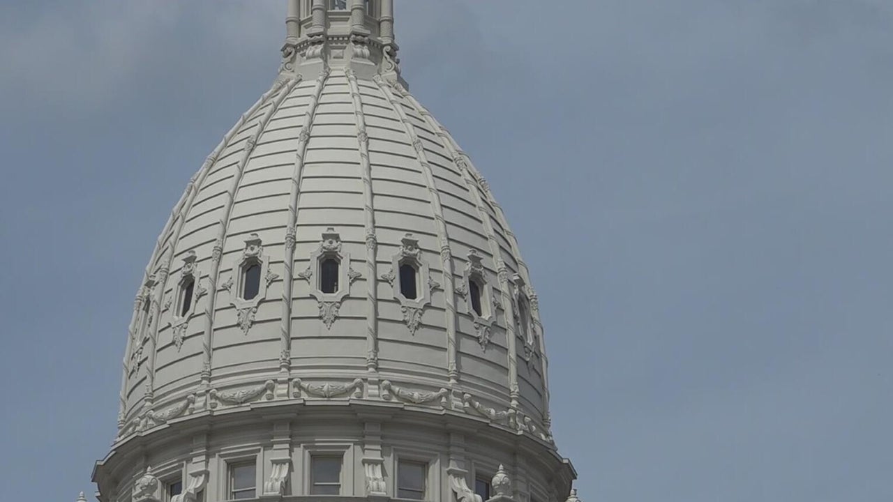 A Look At Michigan Statewide Ballot Proposals Ahead Of November Election