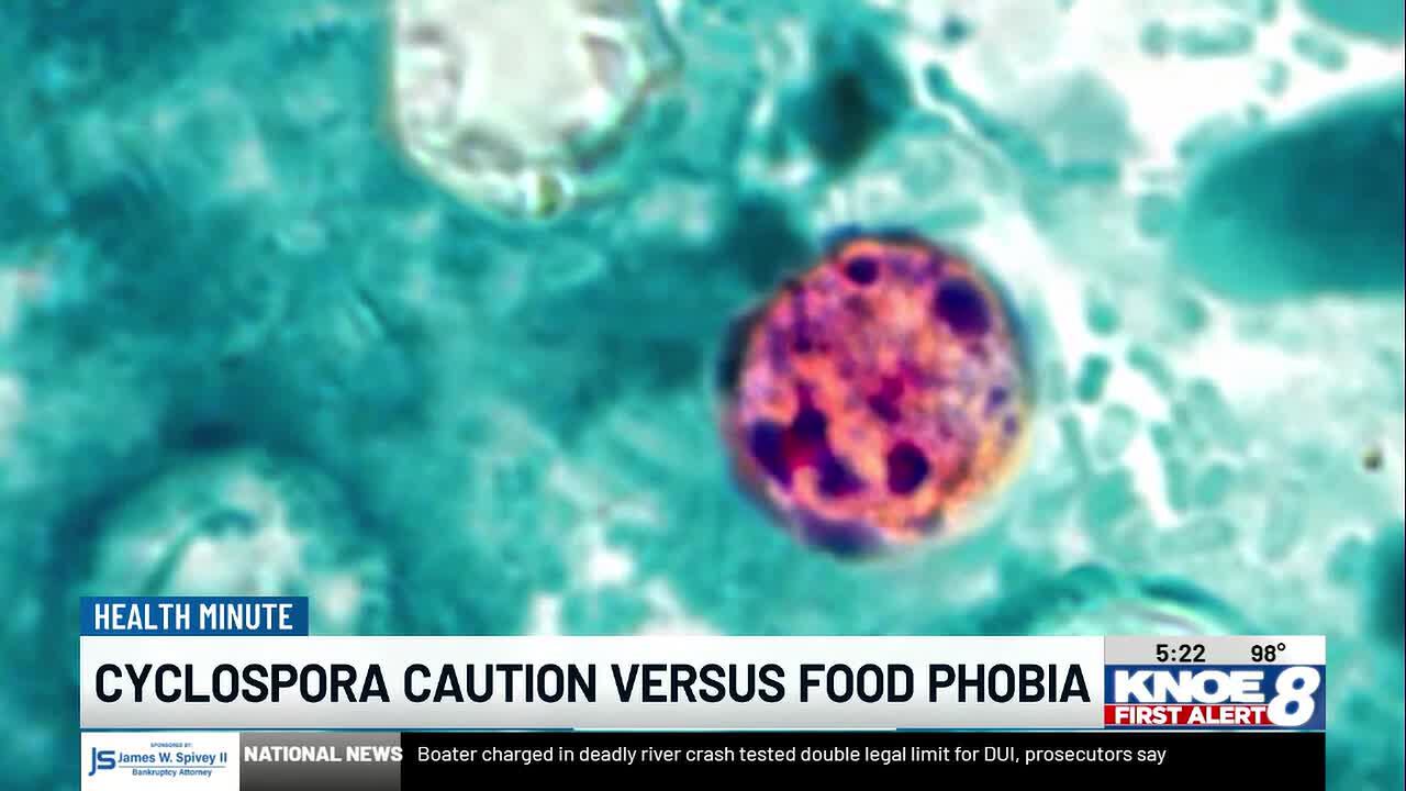 CDC tracking thousands of cyclosporiasis cases as experts warn of food anxiety risks