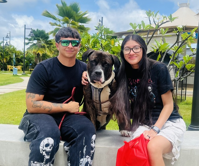 Hawaiian Humane Society adopts 542 animals during 'Empty the Shelter' event