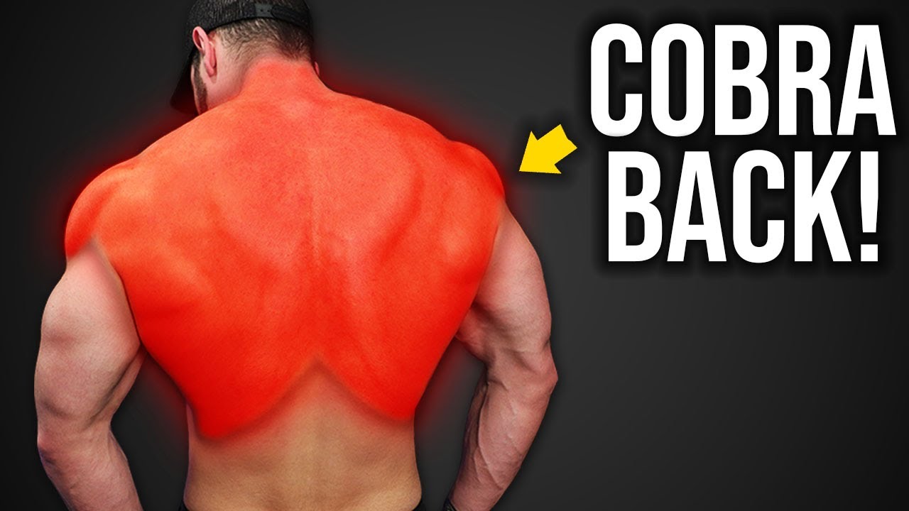 6 best home back exercises (+ important activation tip!)