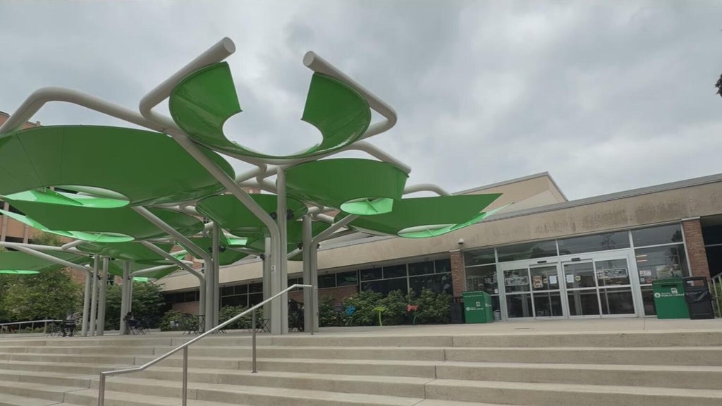 Royal Oak Library temporarily closes due to bed bug infestation