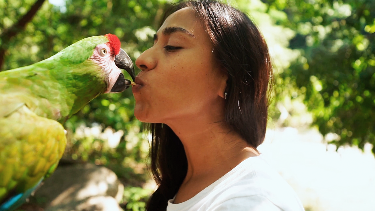 Watch this parrot trusting its best friend
