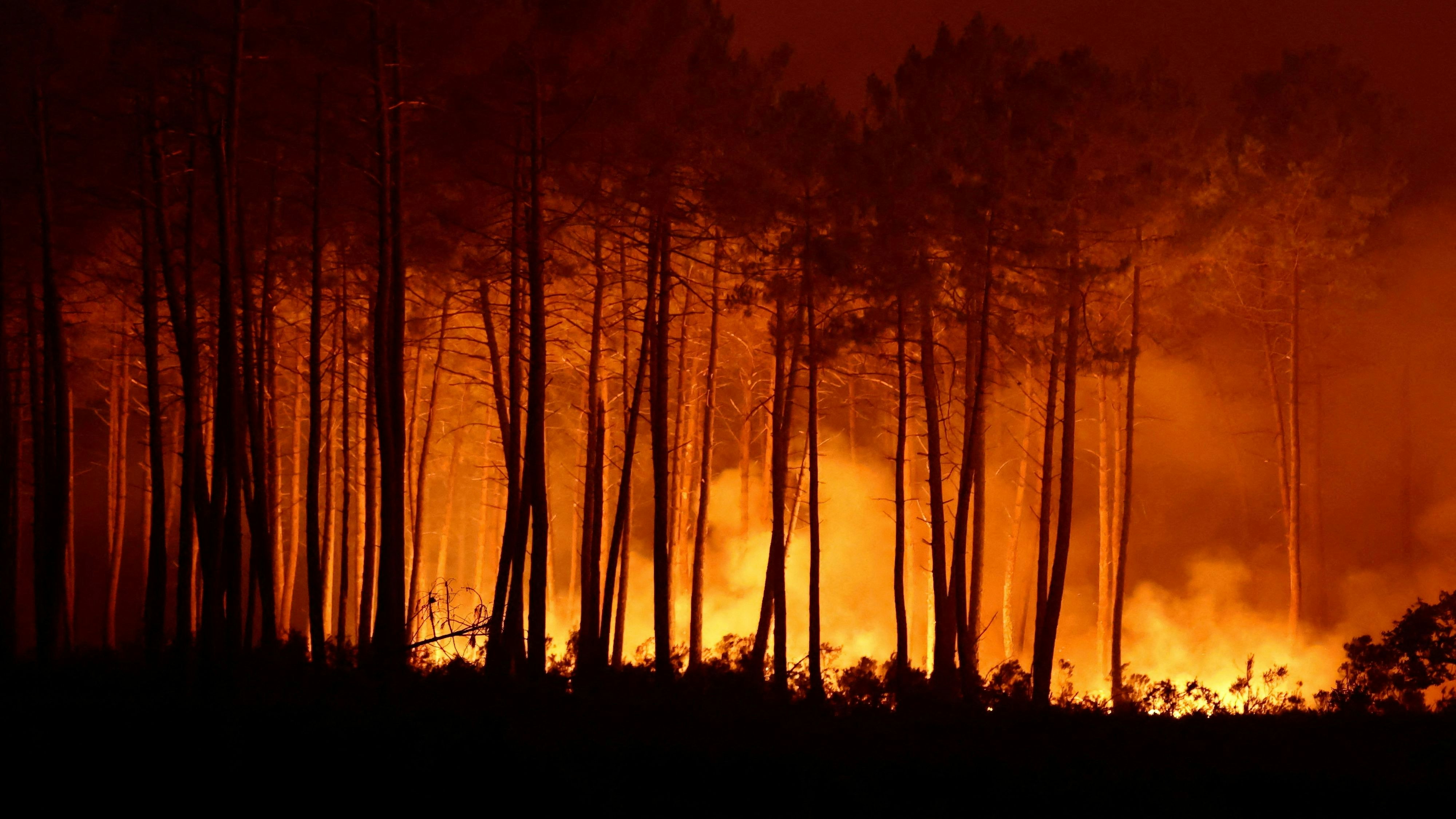 Waldbrände in Frankreich