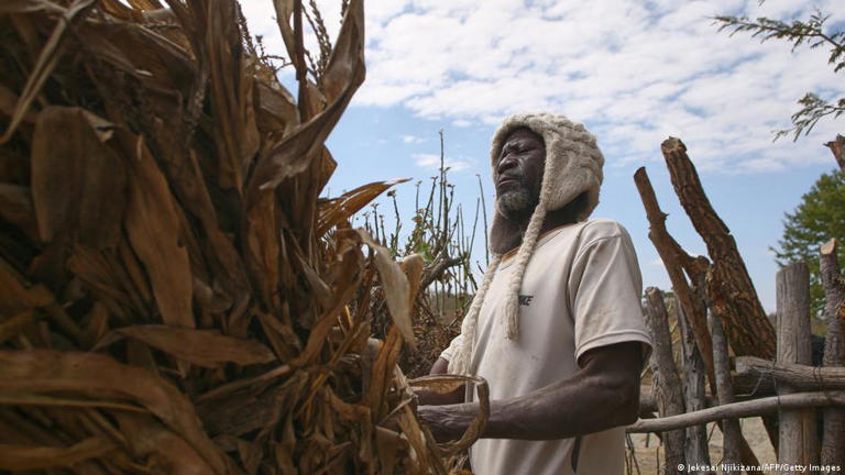 UN experts expect a 50% chance of drought across much of southern Africa