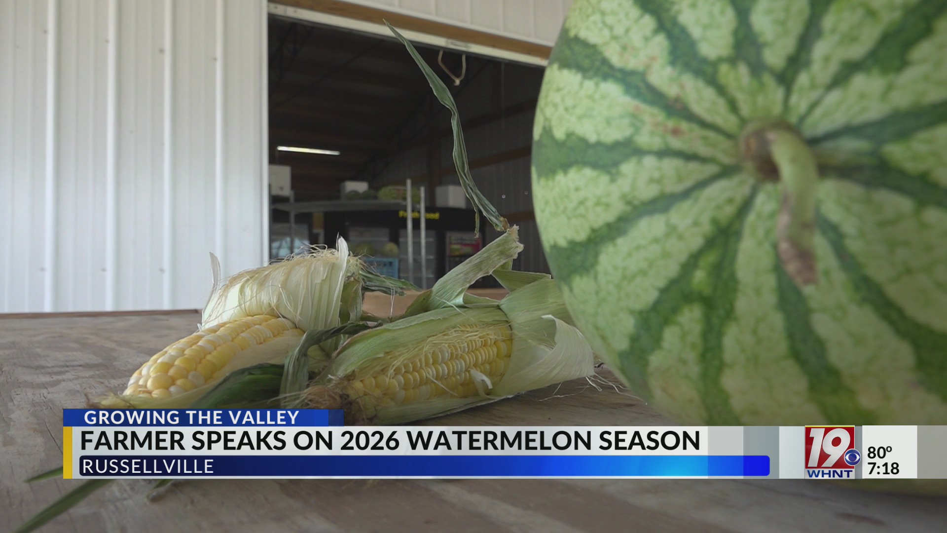 Growing the Valley: Farmer speaks on 2026 watermelon season in ...
