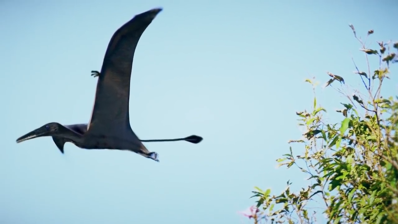 Campers mistook it for a balloon, then the 35-foot winged creature ...