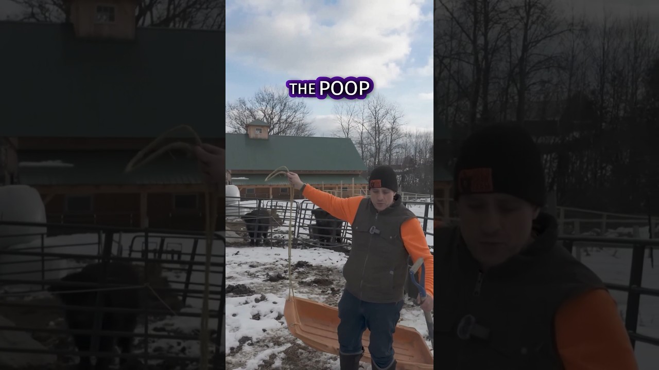 Transform waste into composting magic