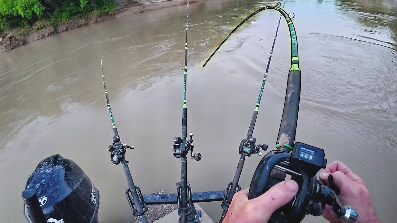 How we landed multiple giant catfish!