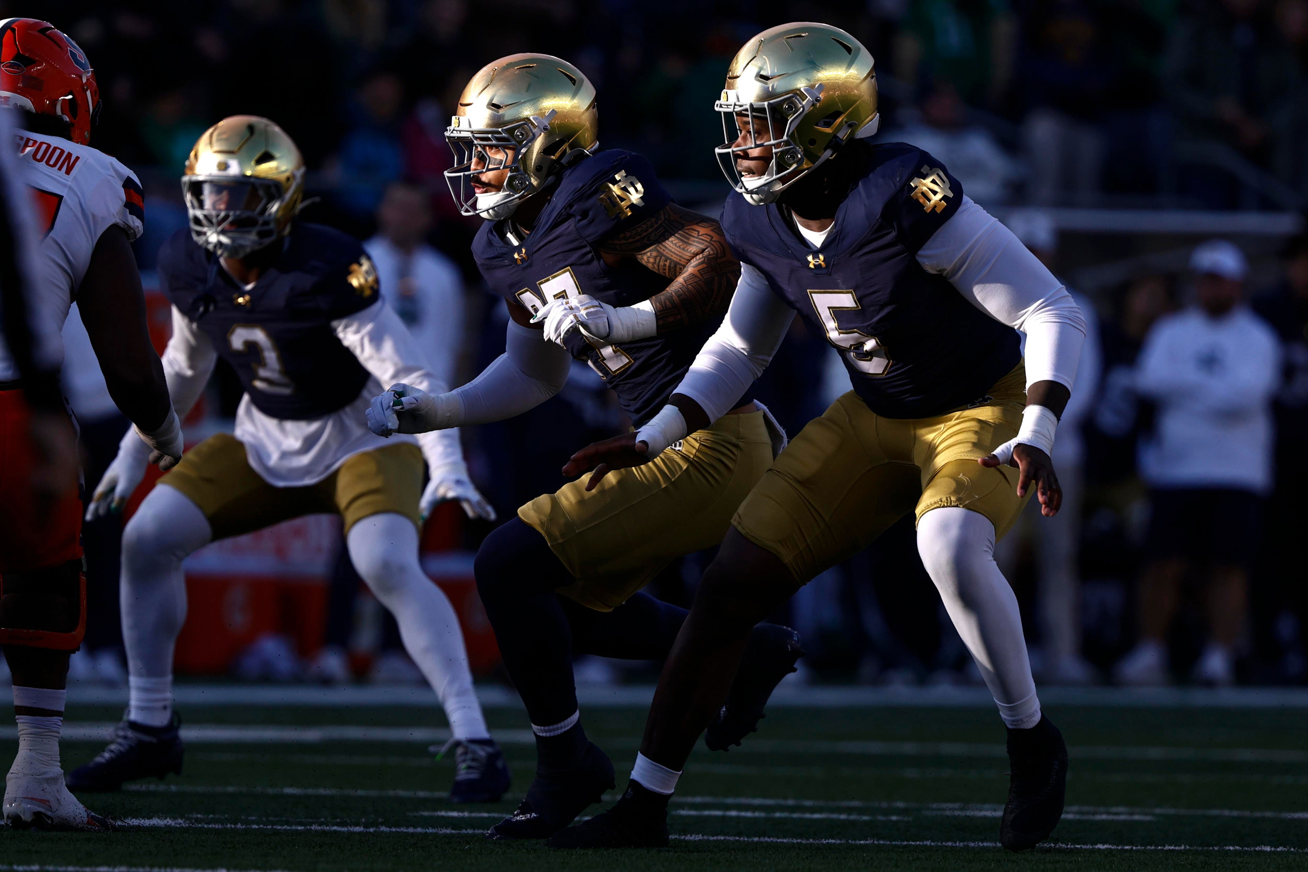 Notre Dame football: Pre-fall camp defensive roster breakdown