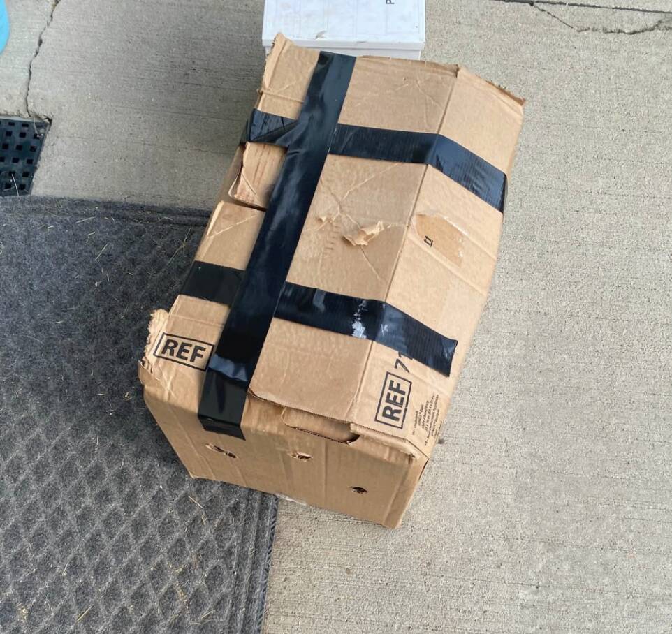 Volunteers find mysterious box covered in air holes — and save an entire fuzzy family