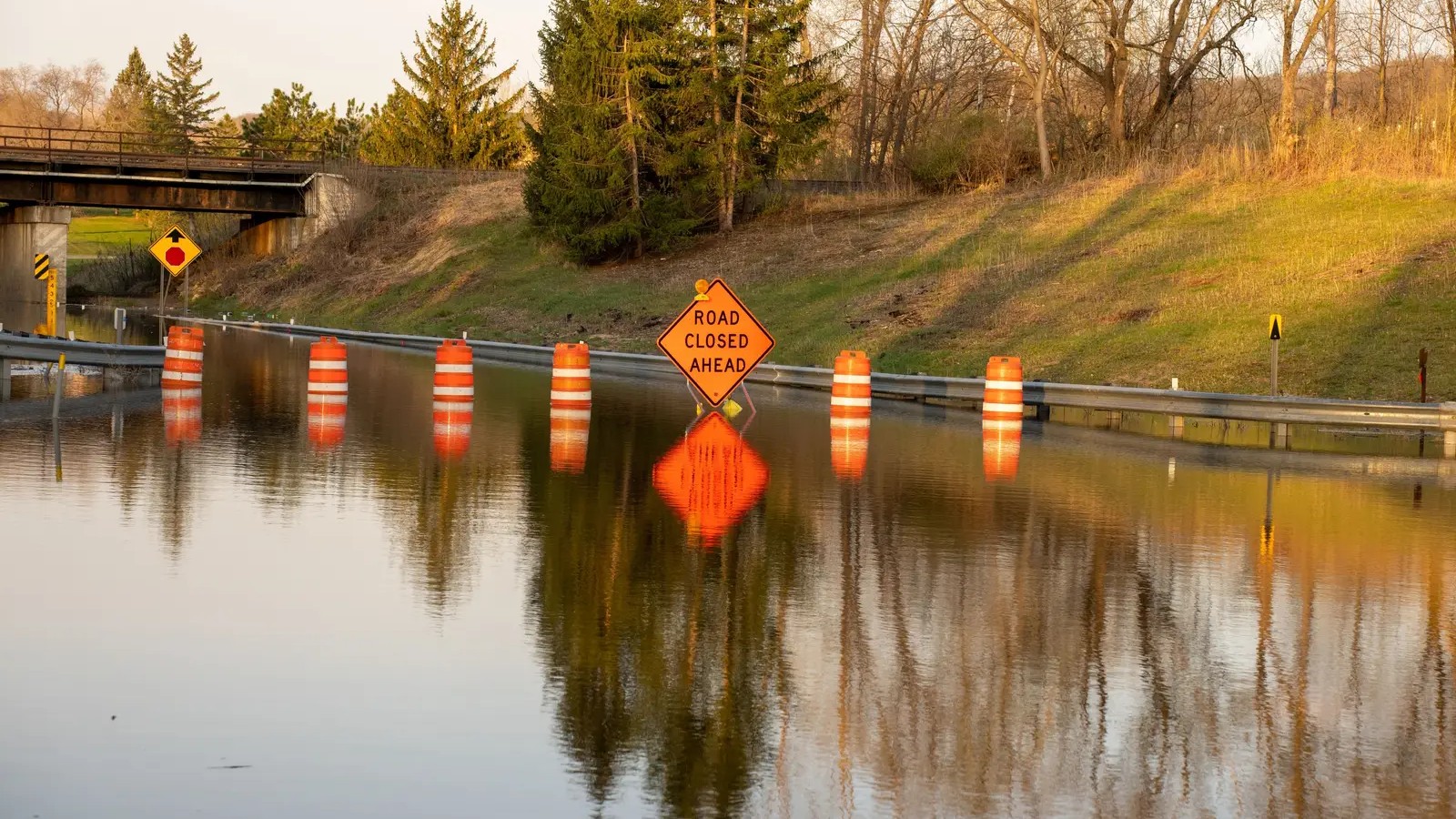 Climate experts warn: This migration pattern signals a bigger ...
