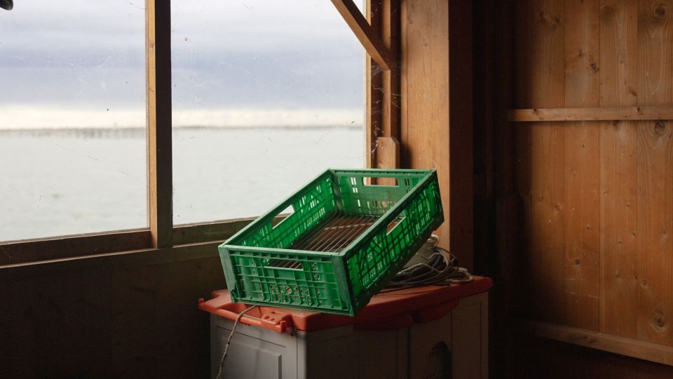 An old clam sifter belonging to a fisherwoman, left behind and no longer in use. - Chiara Negrello