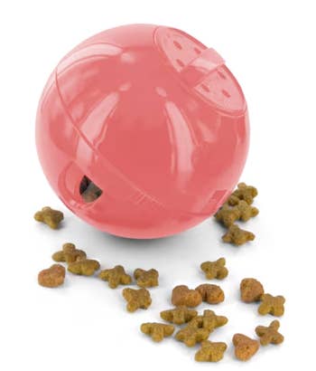 Interactive pet toy ball dispensing kibble